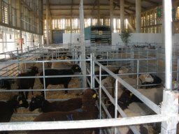 phoca_thumb_l_noviembre 051